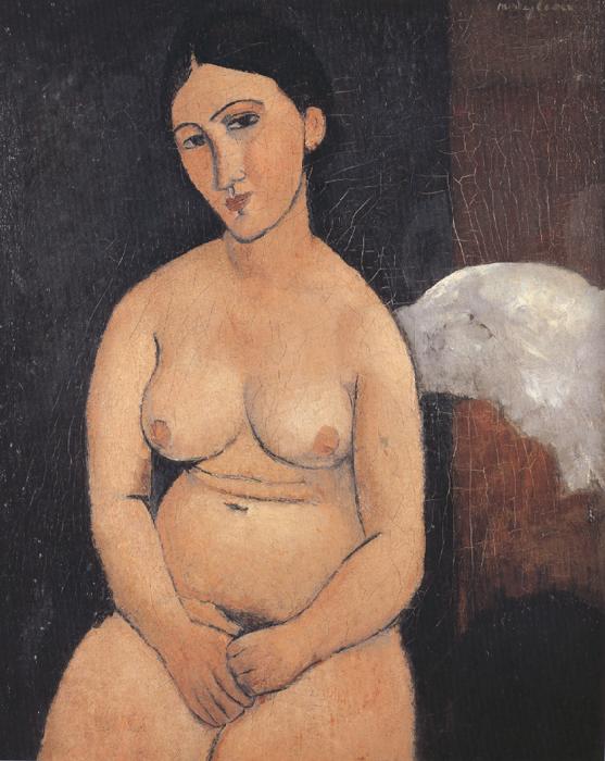 Amedeo Modigliani Seated Nude (mk39) Sweden oil painting art